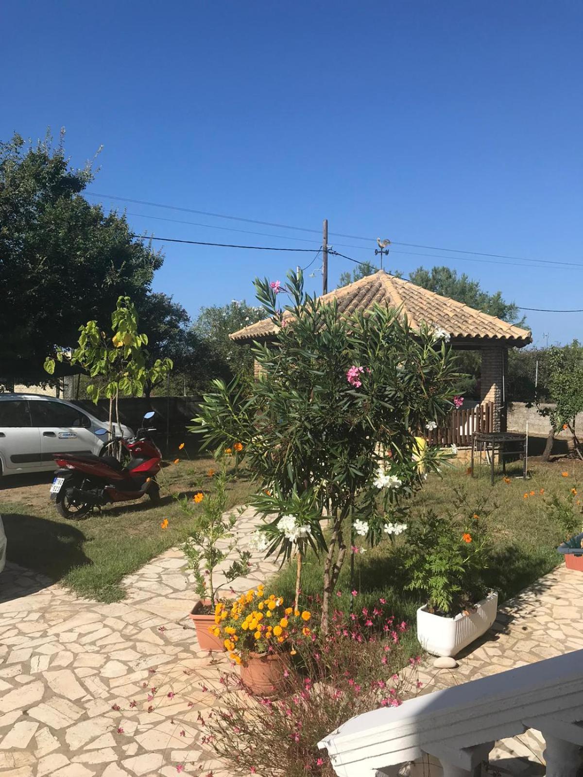 Aristidis Apartments Agios Georgios  ภายนอก รูปภาพ